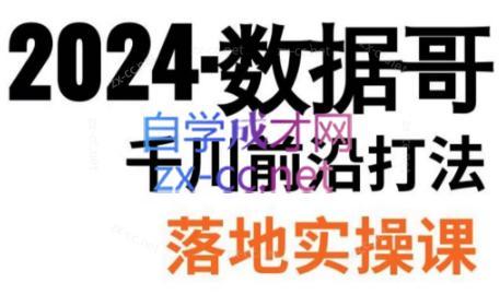 数据哥·2024年千川前沿打法落地实操课-财虎网络科技