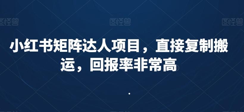 小红书矩阵达人项目，直接复制搬运，回报率非常高-财虎网络科技