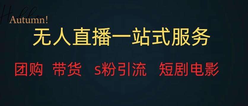 无人直播一站式服务（教程以及变现方式）-财虎网络科技