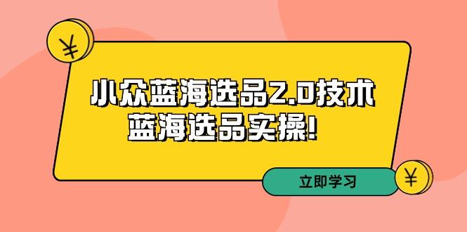 拼多多培训第33期：小众蓝海选品2.0技术-蓝海选品实操！-财虎网络科技
