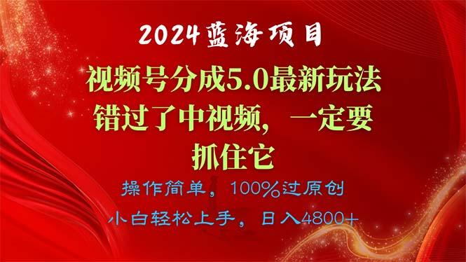 2024蓝海项目，视频号分成计划5.0最新玩法，错过了中视频，一定要抓住…-财虎网络科技