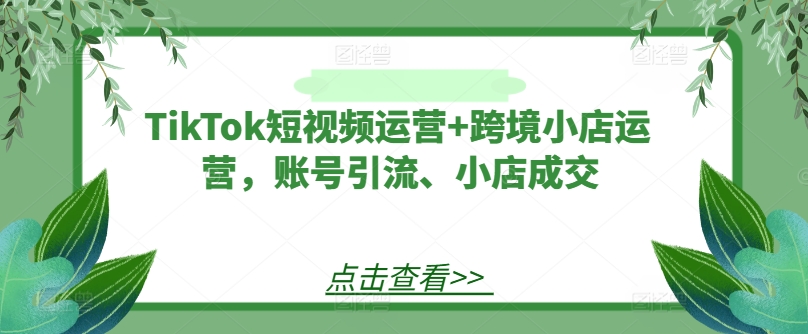 TikTok短视频运营+跨境小店运营，账号引流、小店成交-财虎网络科技