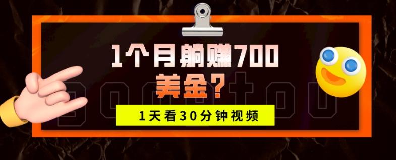 1天看30分钟视频，1个月躺赚700美金？-财虎网络科技