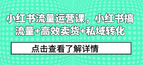小红书流量运营课，小红书搞流量+高效卖货+私域转化-财虎网络科技