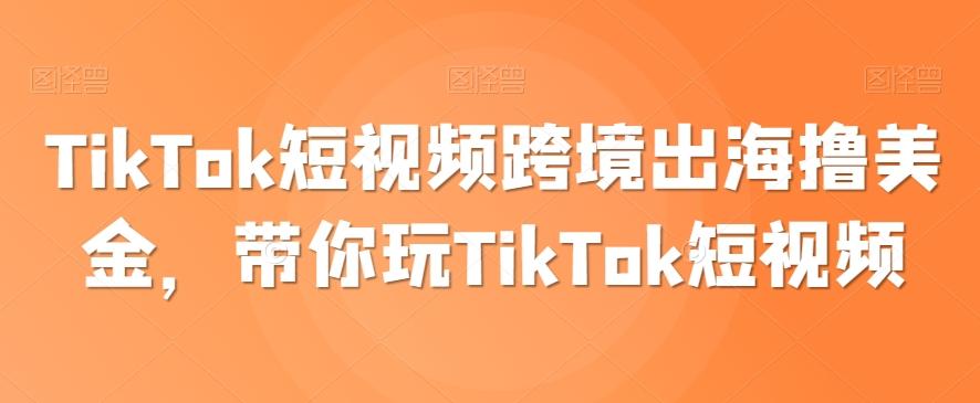 TikTok短视频跨境出海撸美金，带你玩TikTok短视频-财虎网络科技