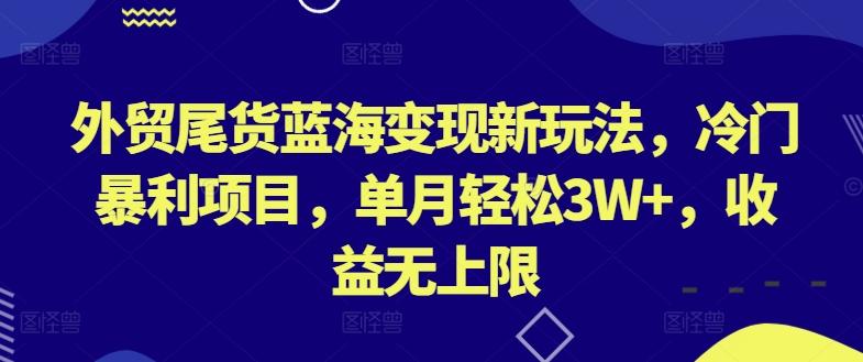 外贸尾货蓝海变现新玩法，冷门暴利项目，单月轻松3W+，收益无上限【揭秘】-财虎网络科技