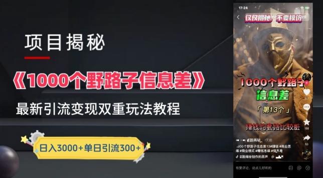 一千个野路子信息差最新玩法教程-变现+引流的玩法具体拆解【揭秘】-财虎网络科技