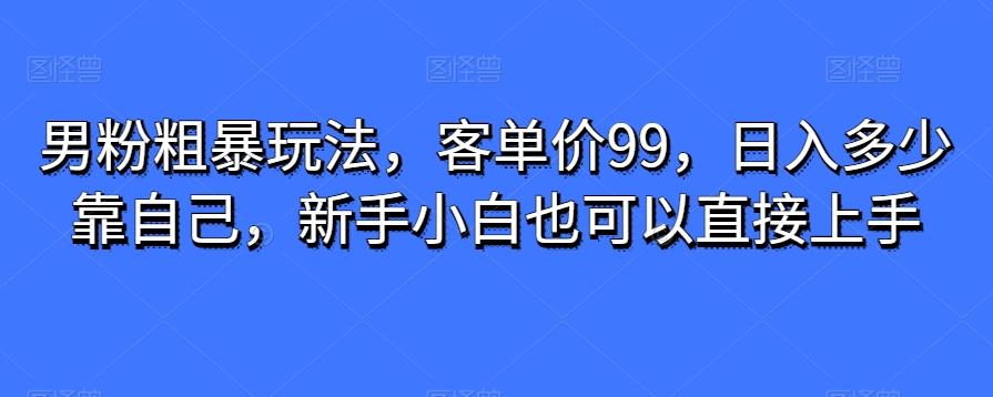 男粉粗暴玩法，客单价99，日入多少靠自己，新手小白也可以直接上手-财虎网络科技