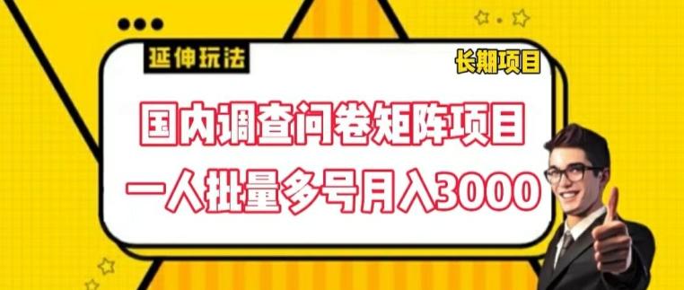 国内调查问卷矩阵项目，一人批量多号月入3000【揭秘】-财虎网络科技