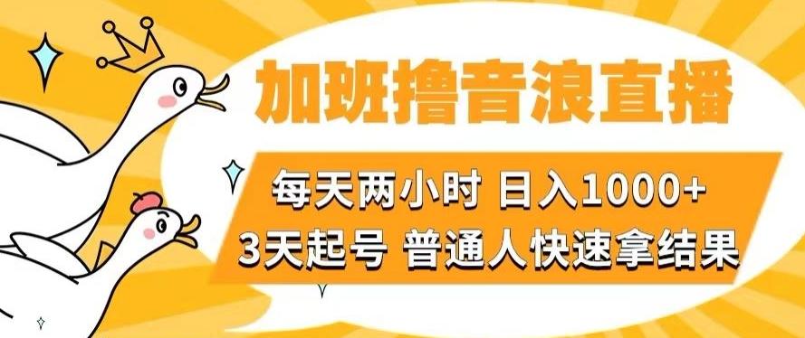 加班撸音浪直播,每天两小时,日入1000+,直播话术才3句,3天起号,普通人快速拿结果【揭秘】-财虎网络科技