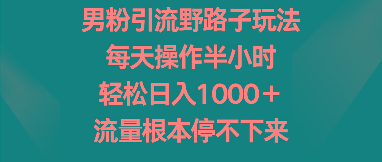 男粉引流野路子玩法,每天操作半小时轻松日入1000+,流量根本停不下来-财虎网络科技