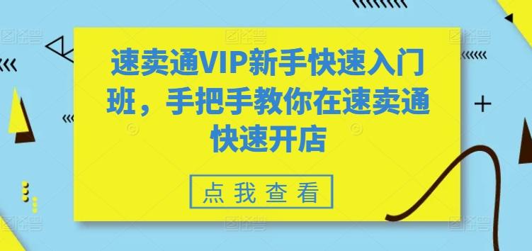 速卖通VIP新手快速入门班，手把手教你在速卖通快速开店-财虎网络科技