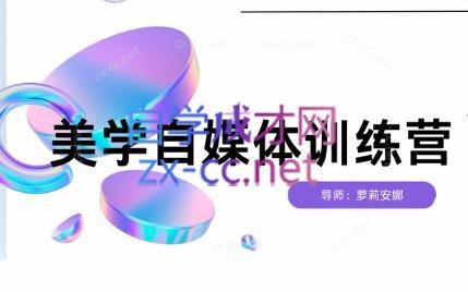 安娜·美学自媒体IP系统课-财虎网络科技