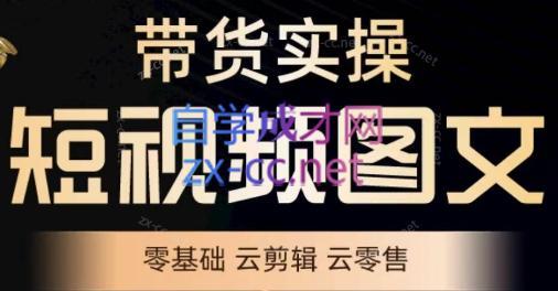 鑫哥·2024零基础短视频带货实操营-财虎网络科技