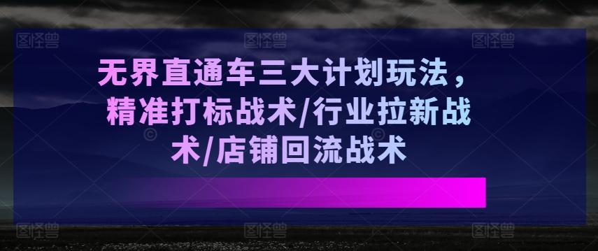 无界直通车三大计划玩法，精准打标战术/行业拉新战术/店铺回流战术-财虎网络科技