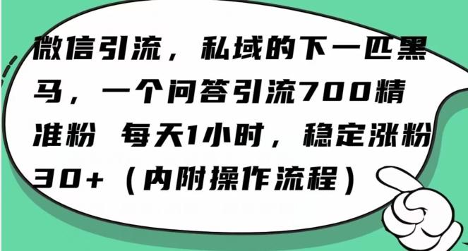 怎么搞精准创业粉？微信新赛道，每天一小时，利用Ai一个问答日引100精准粉-财虎网络科技