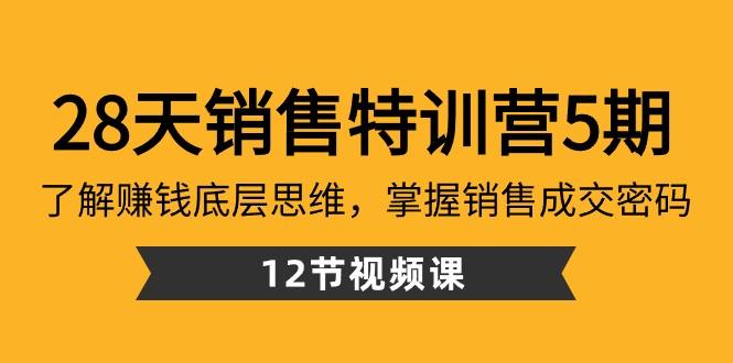 28天销售特训营5期：了解赚钱底层思维，掌握销售成交密码（12节课）-财虎网络科技