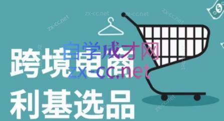 阿甘·2024年跨境电商选品案例(更新)-财虎网络科技