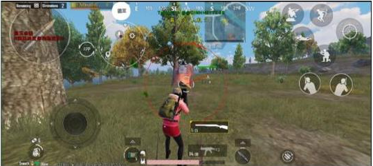 pubg3.3狼王公益直装 v6-财虎网络科技