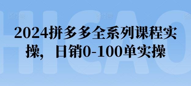 2024拼多多全系列课程实操，日销0-100单实操【必看】-财虎网络科技