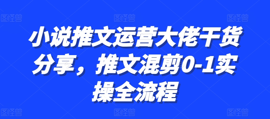 小说推文运营大佬干货分享，推文混剪0-1实操全流程-财虎网络科技