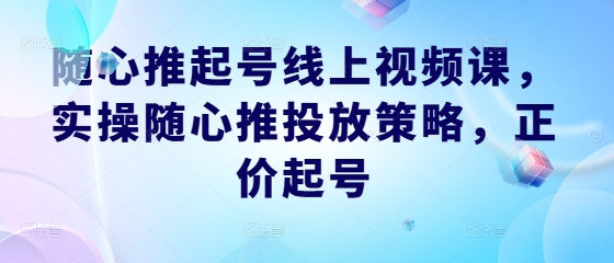 随心推起号线上视频课，实操随心推投放策略，正价起号-财虎网络科技