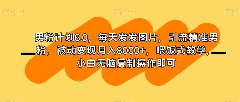 男粉计划6.0，每天发发图片，引流精准男粉，被动变现月入8000+，喂饭式教学，小白无脑复制操作即可-财虎网络科技