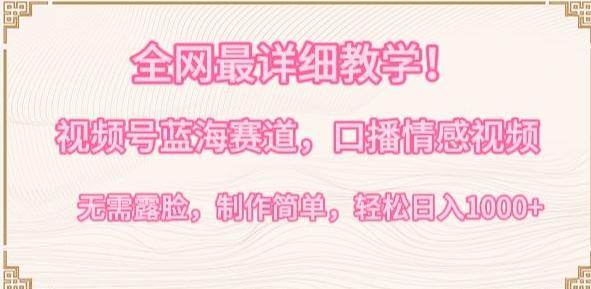 全网最详细教学，视频号蓝海赛道，口播情感视频，无需露脸，制作简单，轻松实现日入1000+【揭秘】-财虎网络科技