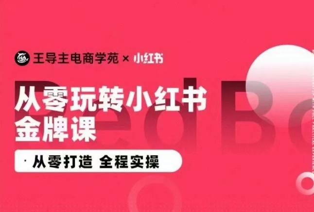 王导主·小红书电商运营实操课，​从零打造  全程实操-财虎网络科技