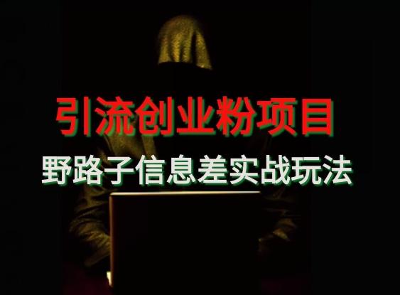 【引流创业粉】野路子信息差玩法实战教学-财虎网络科技