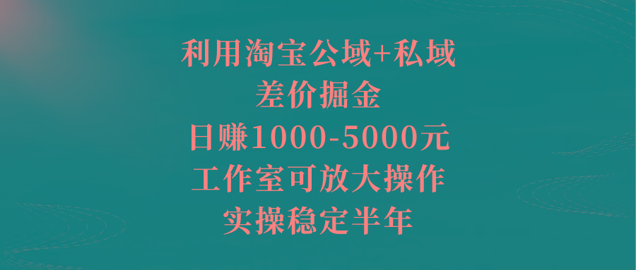 利用淘宝公域+私域差价掘金，日赚1000-5000元，工作室可放大操作，实操…-财虎网络科技