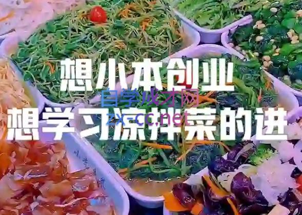 李记·精品凉拌菜系列热卤系列教程-财虎网络科技