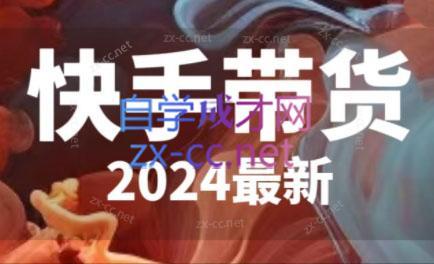 快手带货(2024最新)-财虎网络科技