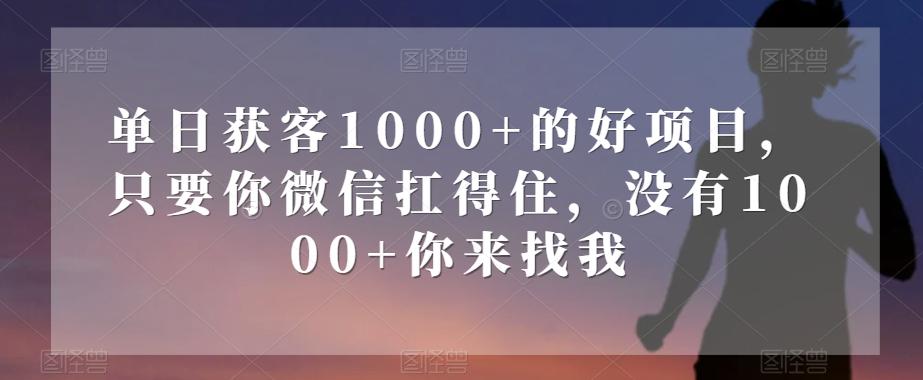 单日获客1000+的好项目，只要你微信扛得住，没有1000+你来找我【揭秘】-财虎网络科技