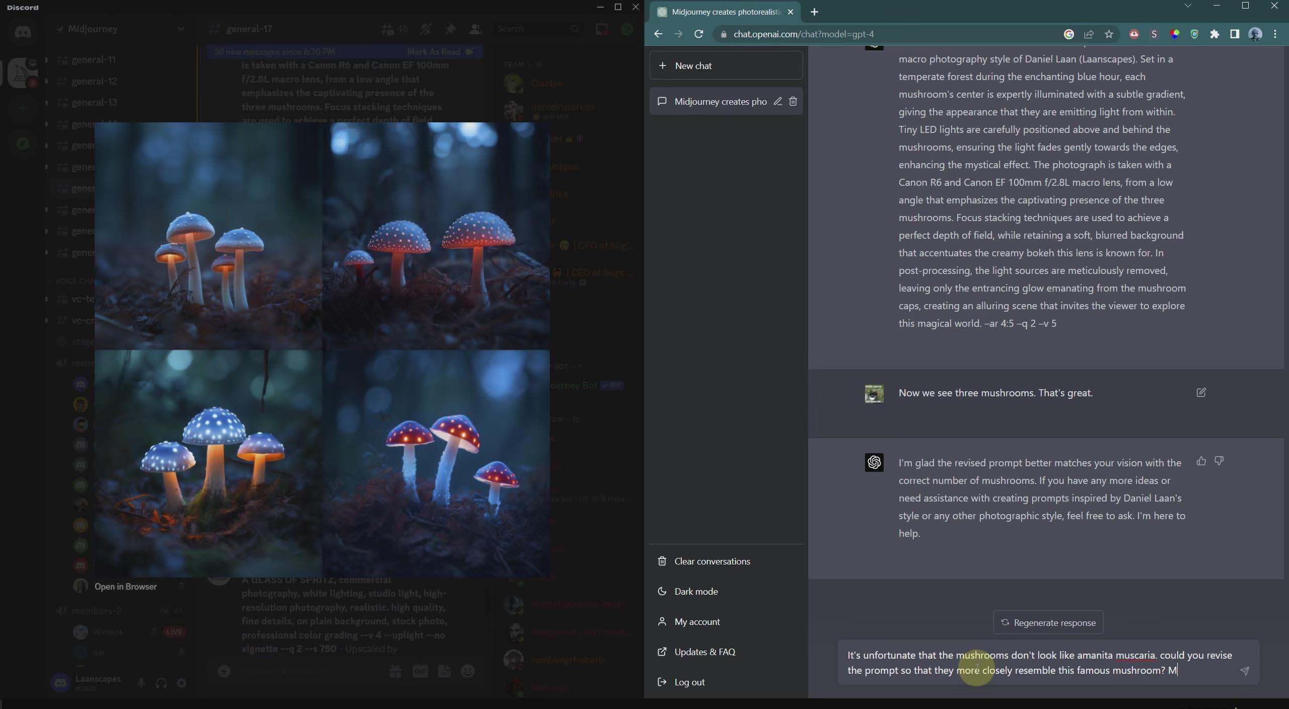 图片[4]-(8717期)摄影师 Daniel Laan 使用ChatGPT与Midjourney生成风光图像-中英字幕-财虎网络科技