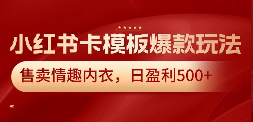 小红书卡模板爆款玩法，售卖情趣内衣，日盈利500+【揭秘】-财虎网络科技