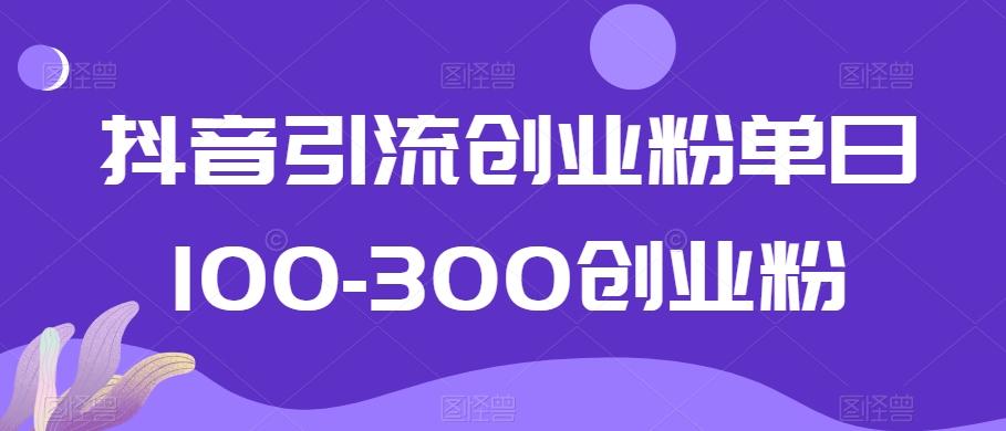 抖音引流创业粉单日100-300创业粉【揭秘】-财虎网络科技