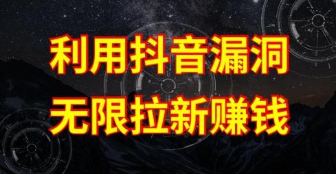 利用抖音链接漏洞，无限拉新赚钱【漏洞原理+操作流程】【揭秘】-财虎网络科技
