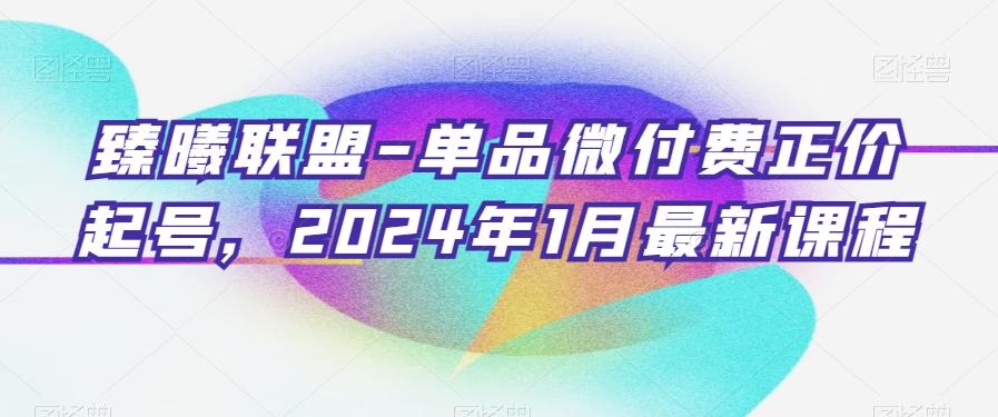 臻曦联盟-单品微付费正价起号，2024年1月最新课程-财虎网络科技
