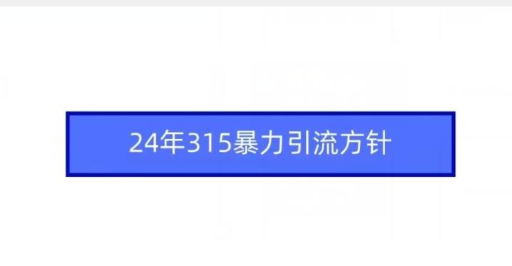 24年315暴力引流方针-财虎网络科技