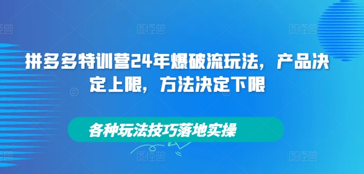 拼多多特训营24年爆破流玩法，产品决定上限，方法决定下限，各种玩法技巧落地实操-财虎网络科技