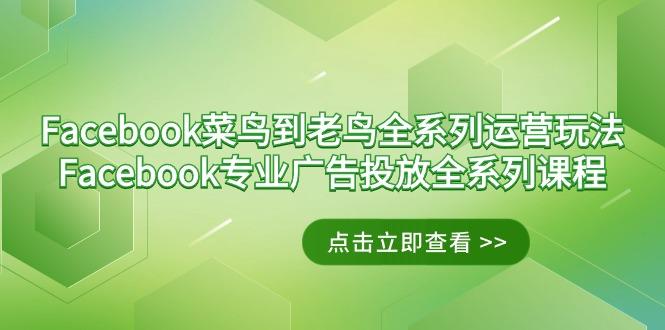 Facebook-菜鸟到老鸟全系列运营玩法+Facebook-专业广告投放全系列课程-财虎网络科技