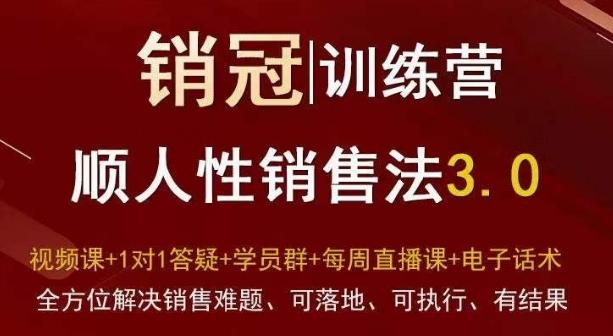 爆款！销冠训练营3.0之顺人性销售法，全方位解决销售难题、可落地、可执行、有结果-财虎网络科技