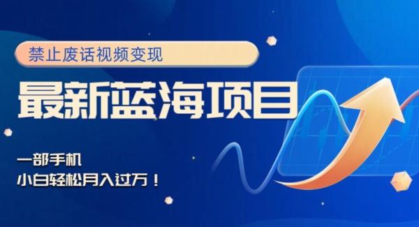 最新蓝海项目，靠禁止废话视频变现，一部手机，小白轻松月入过万！-财虎网络科技