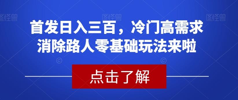 首发日入三百，冷门高需求消除路人零基础玩法来啦【揭秘】-财虎网络科技