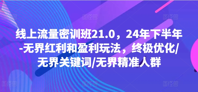 线上流量密训班21.0，24年下半年-无界红利和盈利玩法，终极优化/无界关键词/无界精准人群-财虎网络科技
