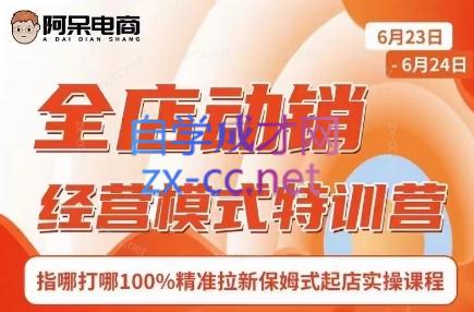 阿呆电商·全店动销经营模式特训营(线下录音+思维导图)-财虎网络科技