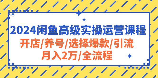 2024闲鱼高级实操运营课程:开店/养号/选择爆款/引流/月入2万/全流程-财虎网络科技