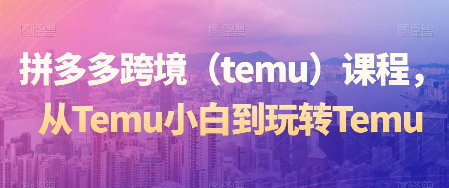 拼多多跨境（temu）课程，从Temu小白到玩转Temu-财虎网络科技