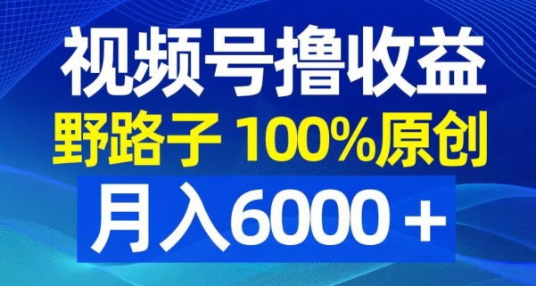 视频号野路子撸收益，100%原创，条条爆款，月入6000＋【揭秘】-财虎网络科技